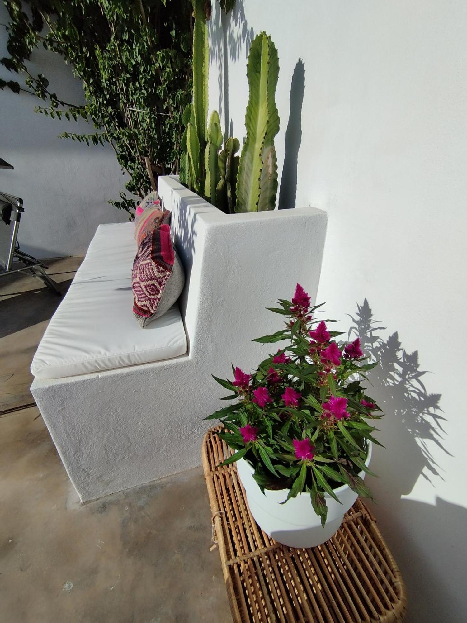 La Alberca Boutique Apartment ลาลิเนียเดลากอนเซ็ปซีออน ภายนอก รูปภาพ